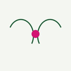 Garden Bow